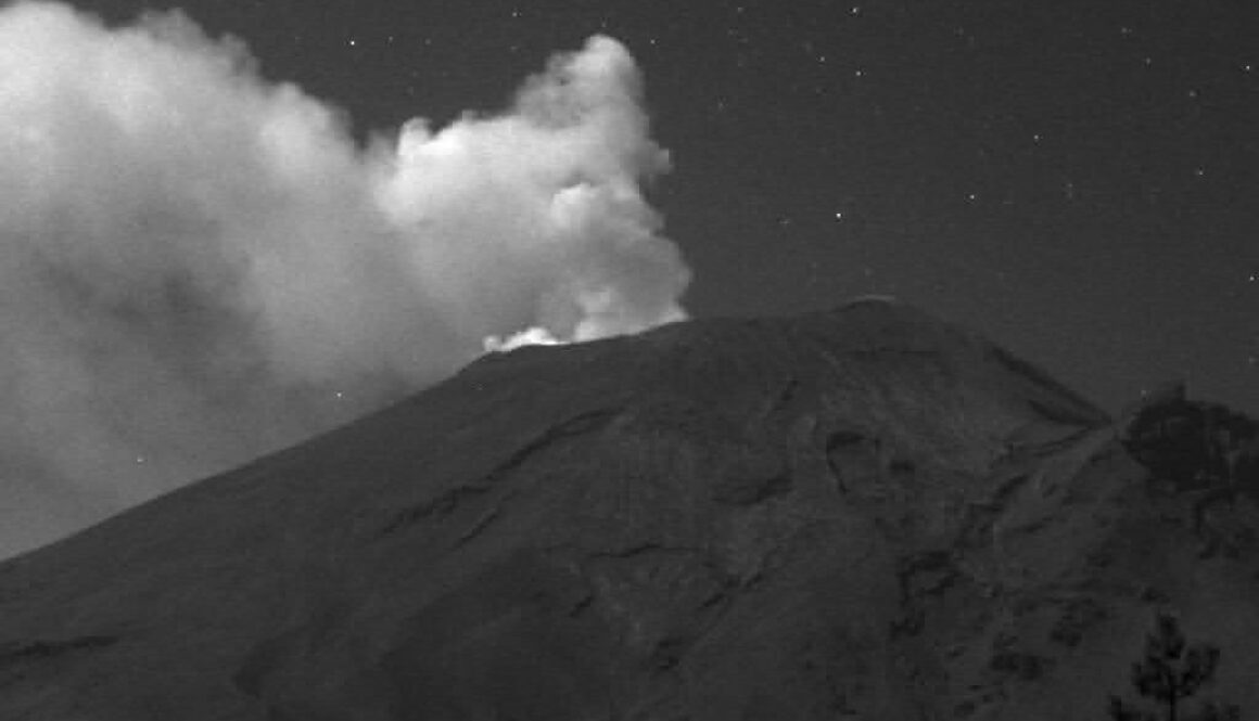 Imagen de WhatsApp 2025-03-12 a las 13.10.26_ce36681b