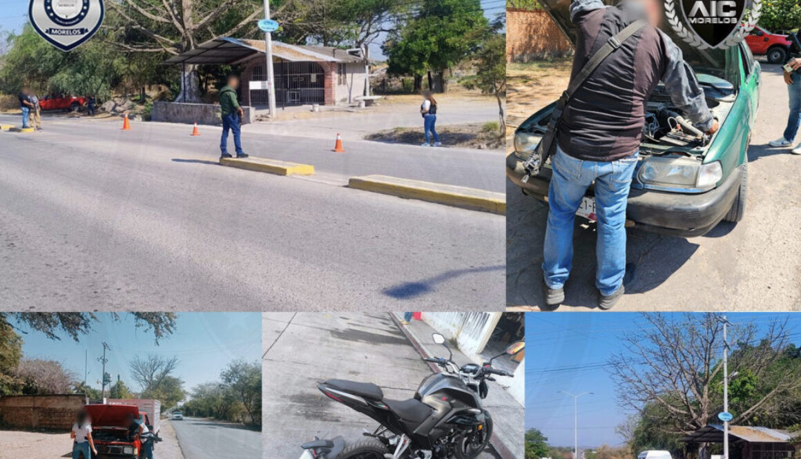 Imagen de WhatsApp 2025-03-15 a las 12.54.14_d8b41883