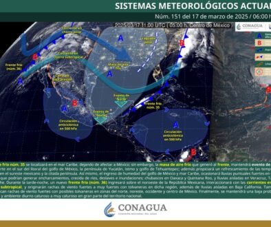 Imagen de WhatsApp 2025-03-17 a las 13.05.48_1edfb07c