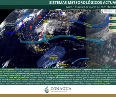 Imagen de WhatsApp 2025-03-28 a las 10.51.11_9d5e22f3