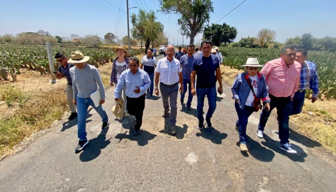 Imagen de WhatsApp 2025-04-03 a las 11.58.58_354bf0b6