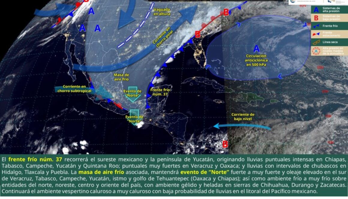 Imagen de WhatsApp 2025-04-07 a las 11.00.10_5d20a6fb
