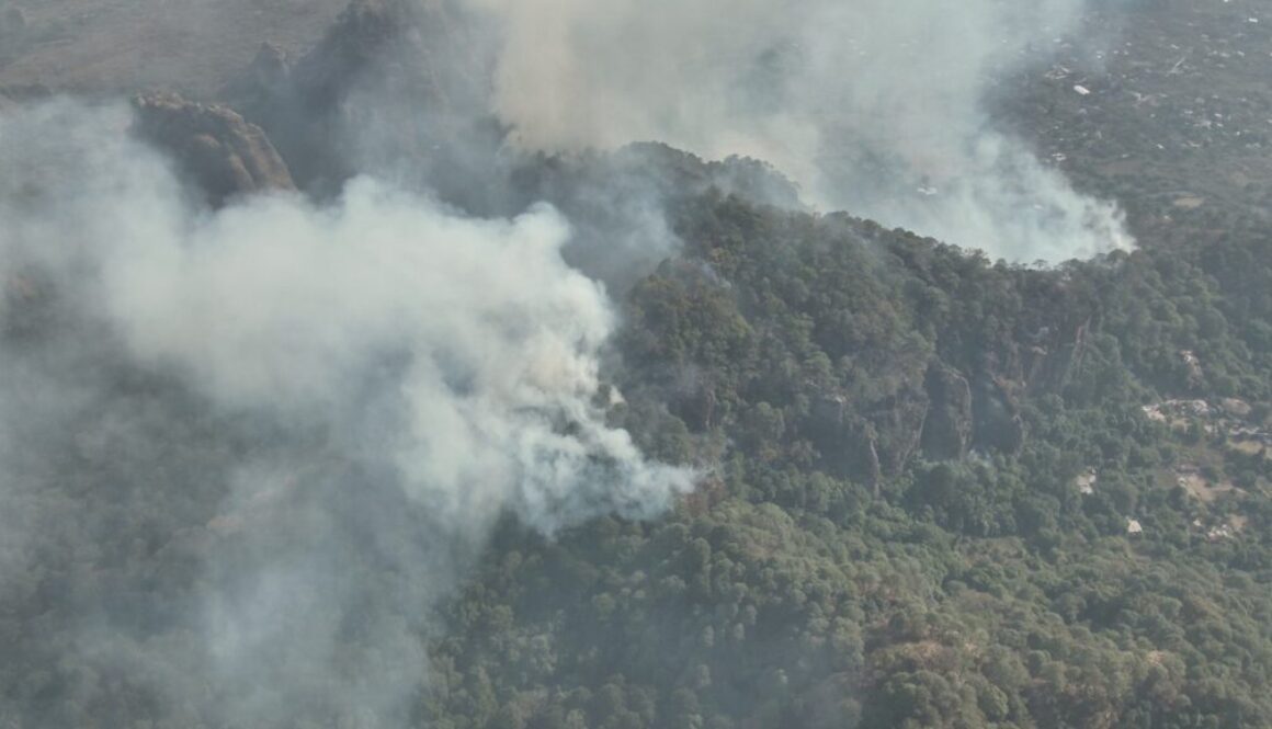 Imagen de WhatsApp 2025-04-10 a las 19.24.02_4207902e