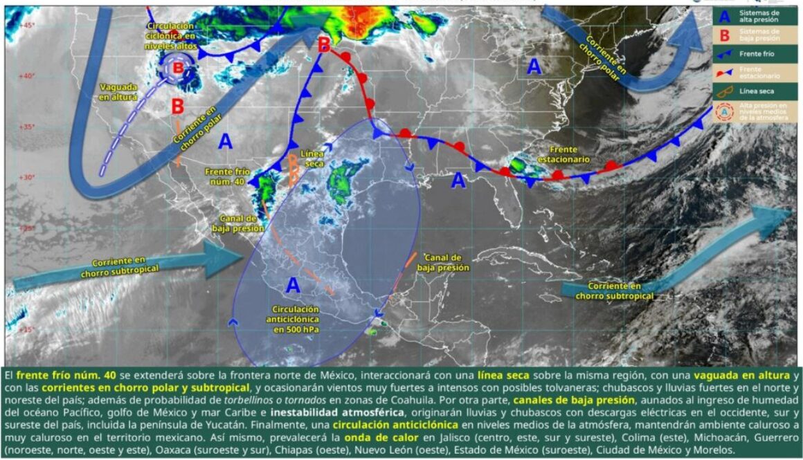 Imagen de WhatsApp 2025-04-28 a las 11.15.35_3fb5f788