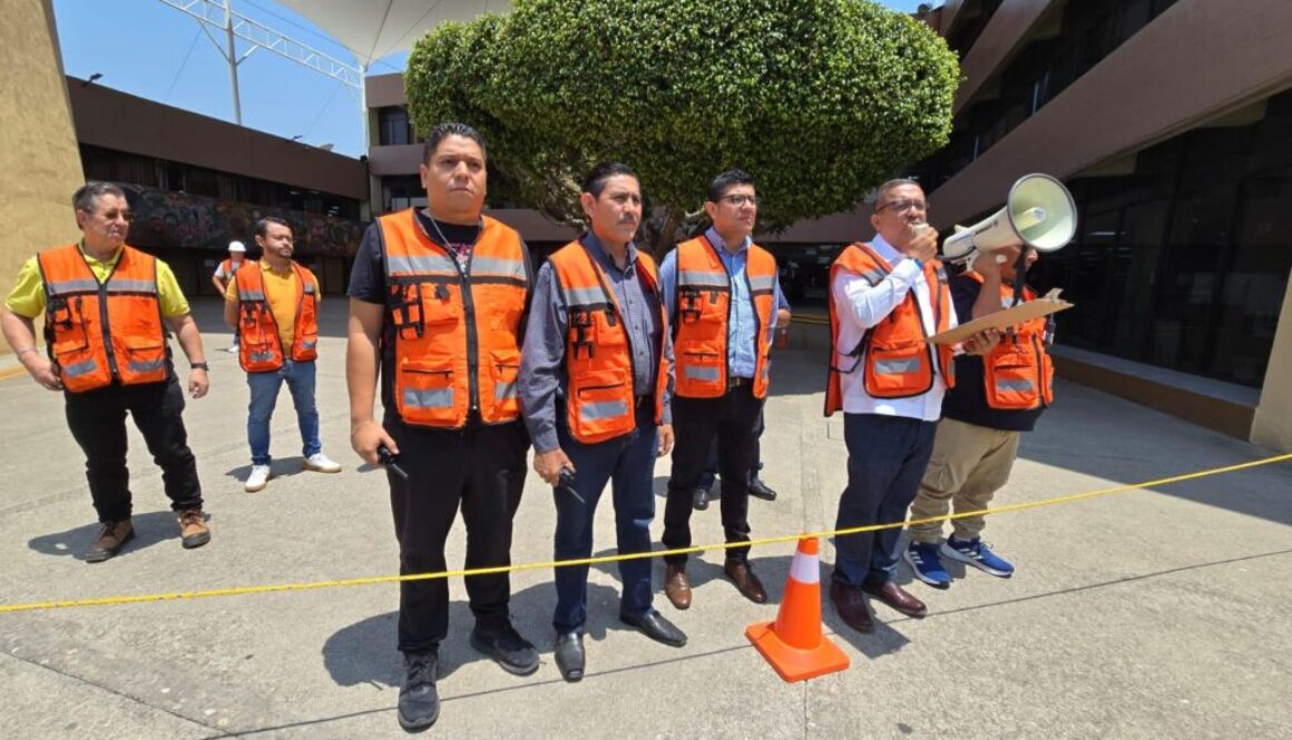 Imagen de WhatsApp 2025-04-29 a las 13.50.21_f0994715