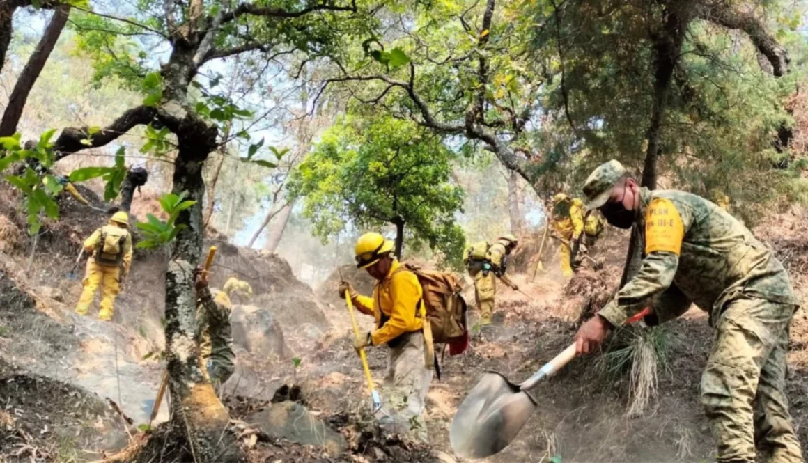 combatientes forestales