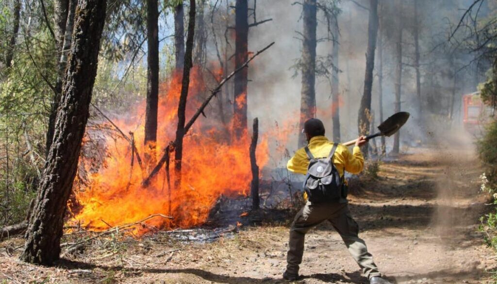 hombre_combate_incendio_en_morelos-focus-0-0-1479-828
