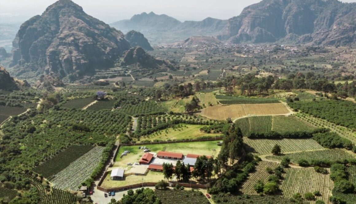 0fe76c8e-6128-4322-add2-5497aba68063