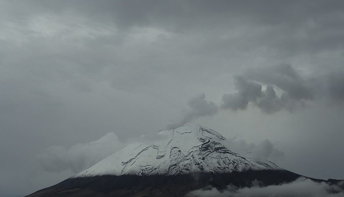 9401ba1b-b582-4cc3-9334-368dd31fcb89