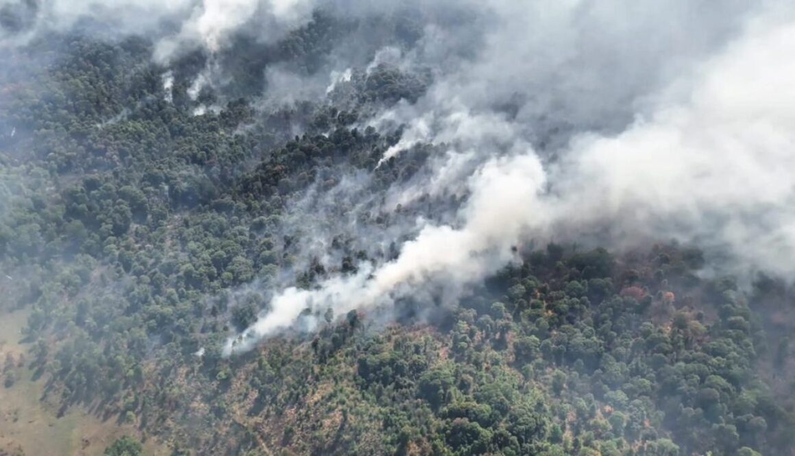 Imagen de WhatsApp 2025-05-07 a las 20.52.38_d4b65c56