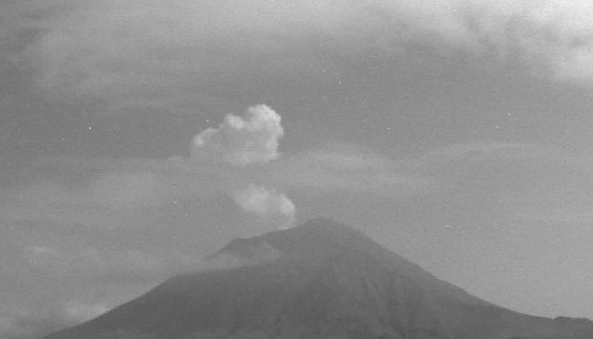 Imagen de WhatsApp 2025-05-08 a las 12.25.19_d0220463