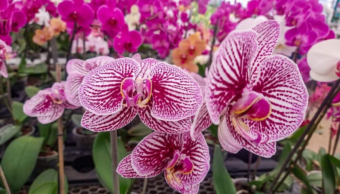 Imagen de WhatsApp 2025-05-09 a las 10.18.27_a5751ec3