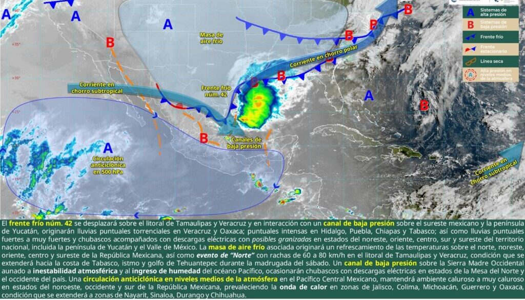 Imagen de WhatsApp 2025-05-09 a las 11.36.08_f991b613