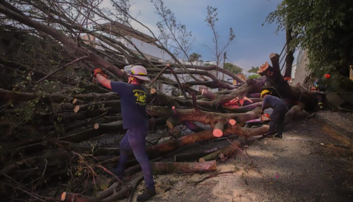 Imagen de WhatsApp 2025-05-09 a las 20.19.31_85653f1c