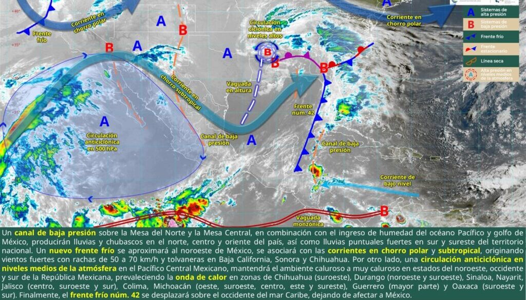 Imagen de WhatsApp 2025-05-12 a las 11.45.04_6833f0e7