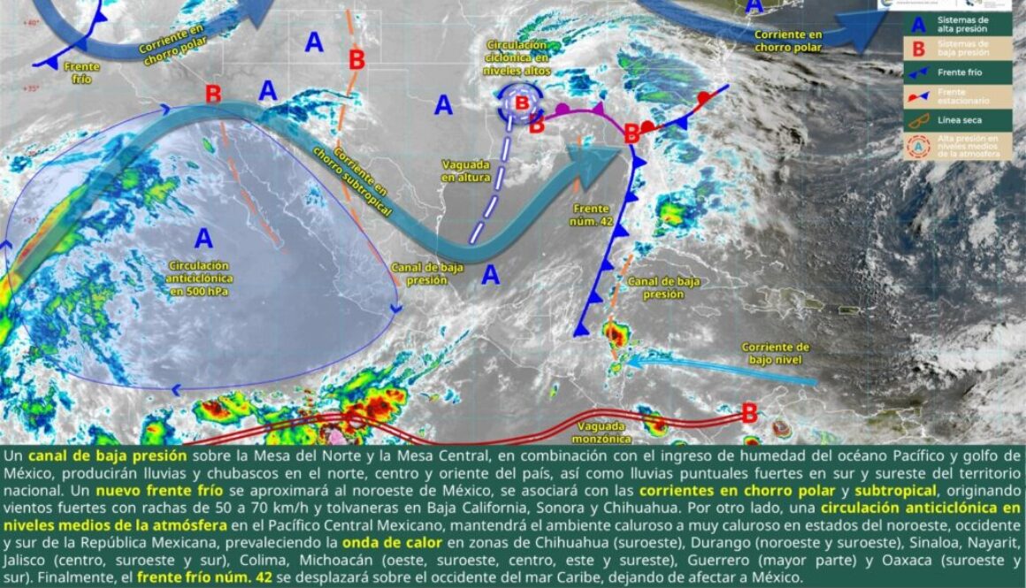 Imagen de WhatsApp 2025-05-12 a las 11.45.04_6833f0e7