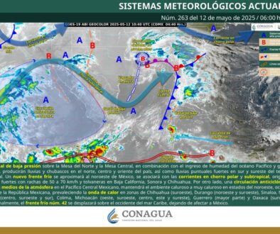 Imagen de WhatsApp 2025-05-12 a las 11.45.04_6833f0e7