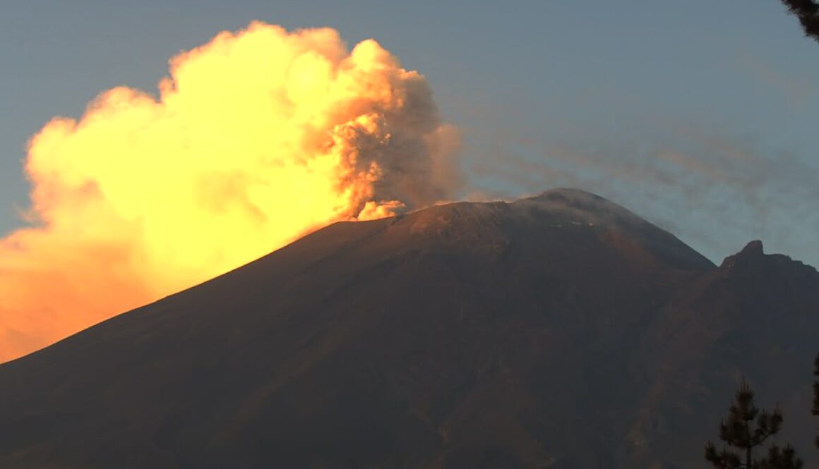 Imagen de WhatsApp 2025-05-13 a las 14.40.16_2f035eef