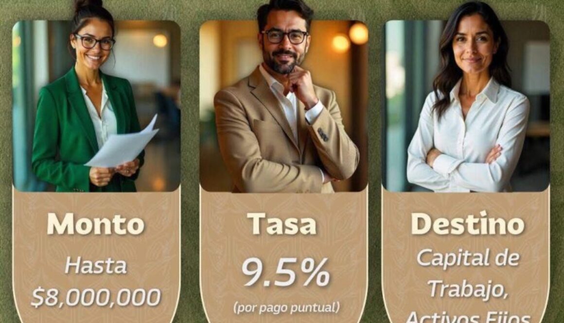 Imagen de WhatsApp 2025-05-22 a las 12.05.24_d0d164de