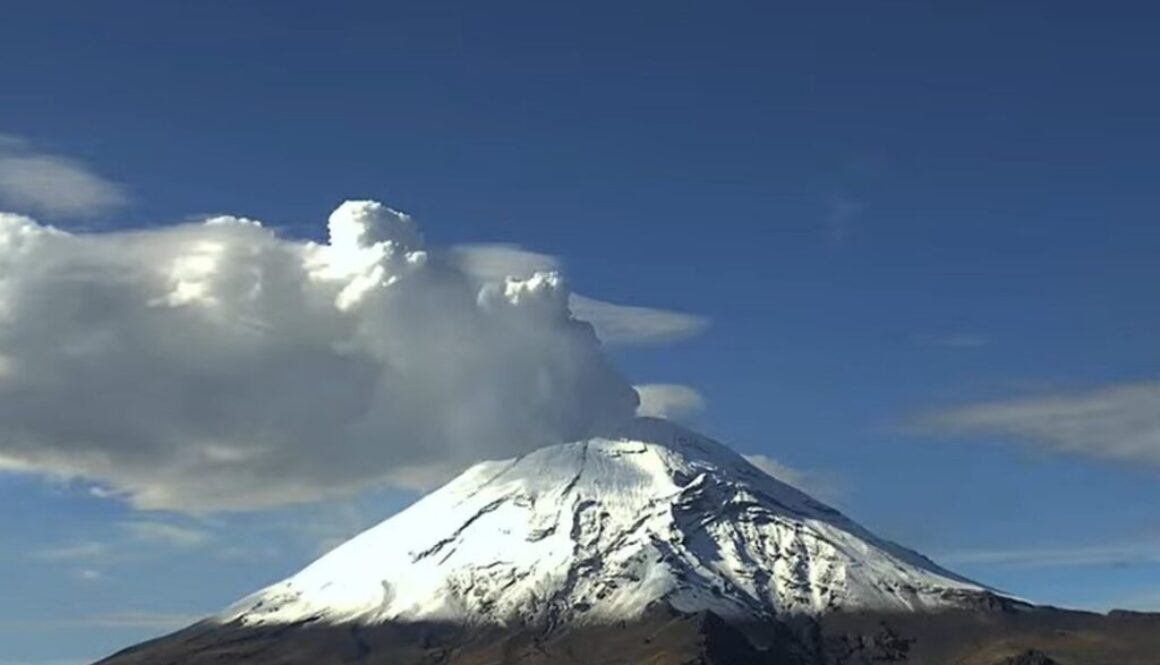 Imagen de WhatsApp 2025-05-26 a las 14.15.08_bbc6b310