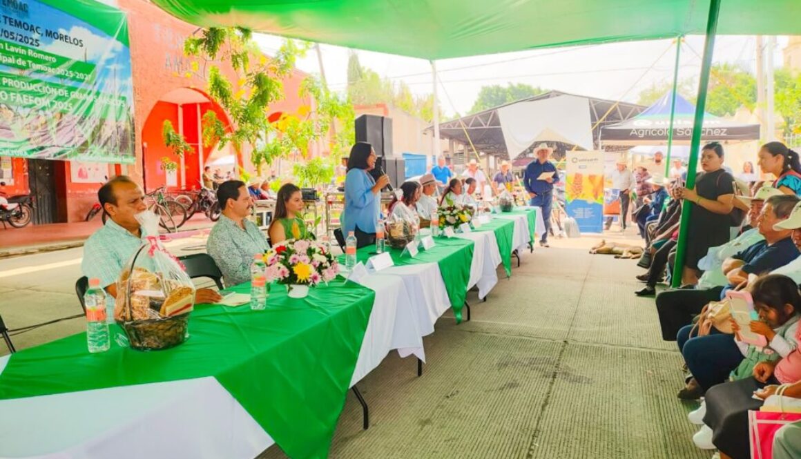 Imagen de WhatsApp 2025-05-26 a las 14.25.20_eb0631d7