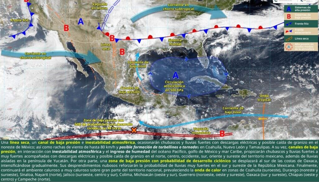 Imagen de WhatsApp 2025-05-26 a las 14.30.36_e50af334