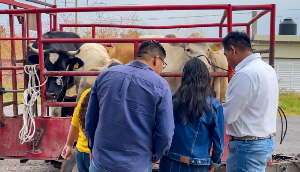 Imagen de WhatsApp 2025-05-27 a las 11.44.00_937c639f