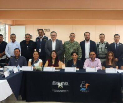 Mesa seguridad1