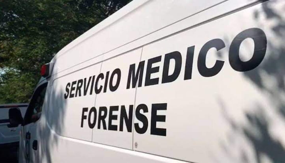 WhatsApp-Image-2023-08-16-at-10.37.43