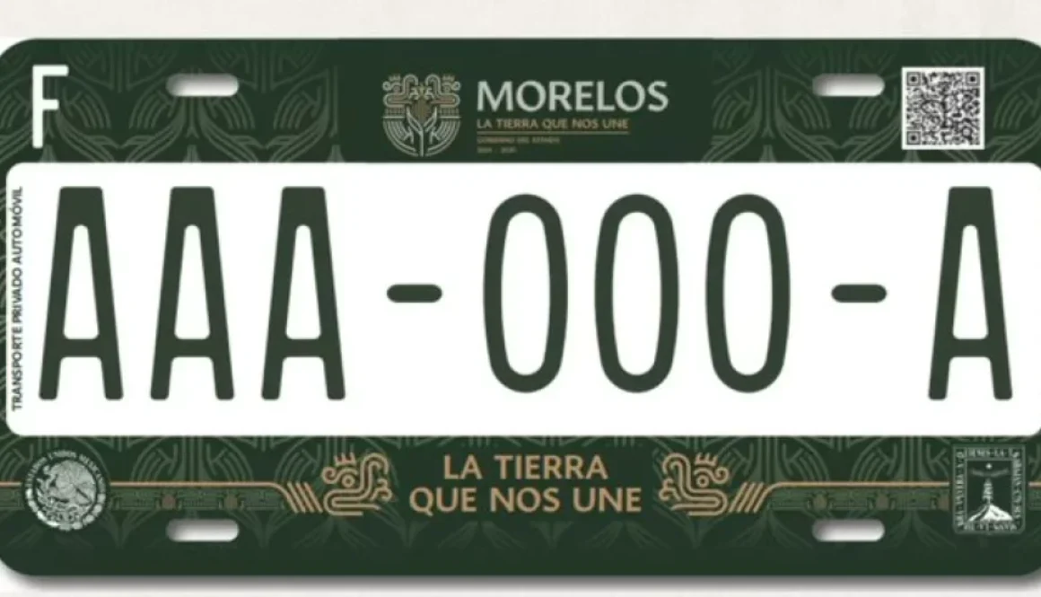 descarga