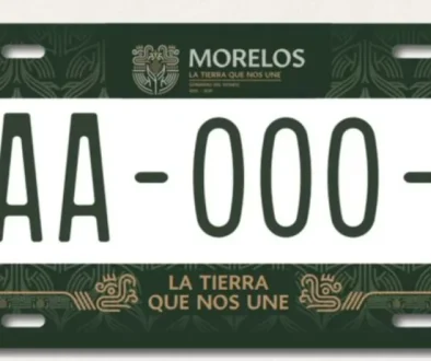 descarga