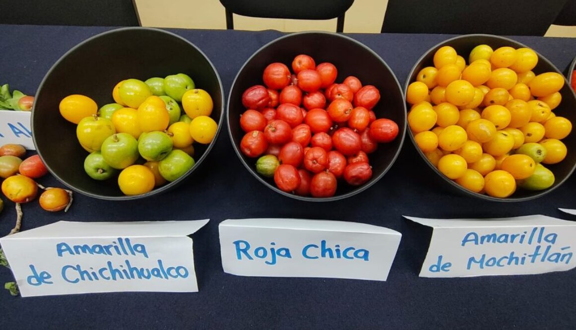 f6356f79-de3c-4108-ad8e-82bd8b5ccd64