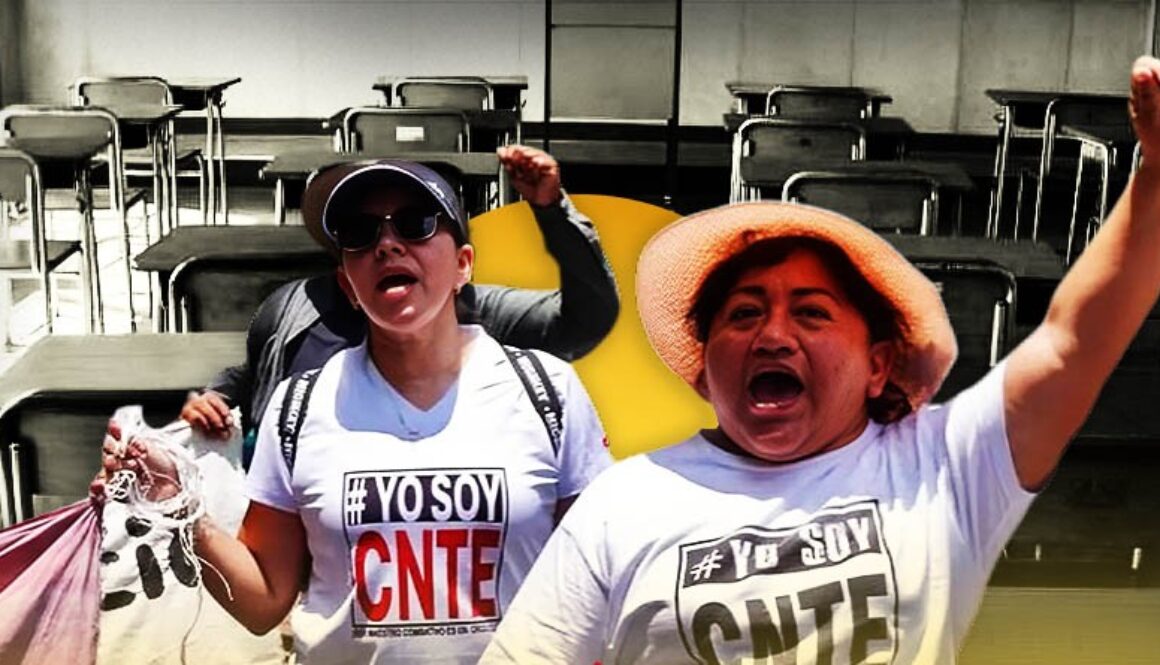 paro-cnte-deja-sin-clases-casi-8-millones-ninos