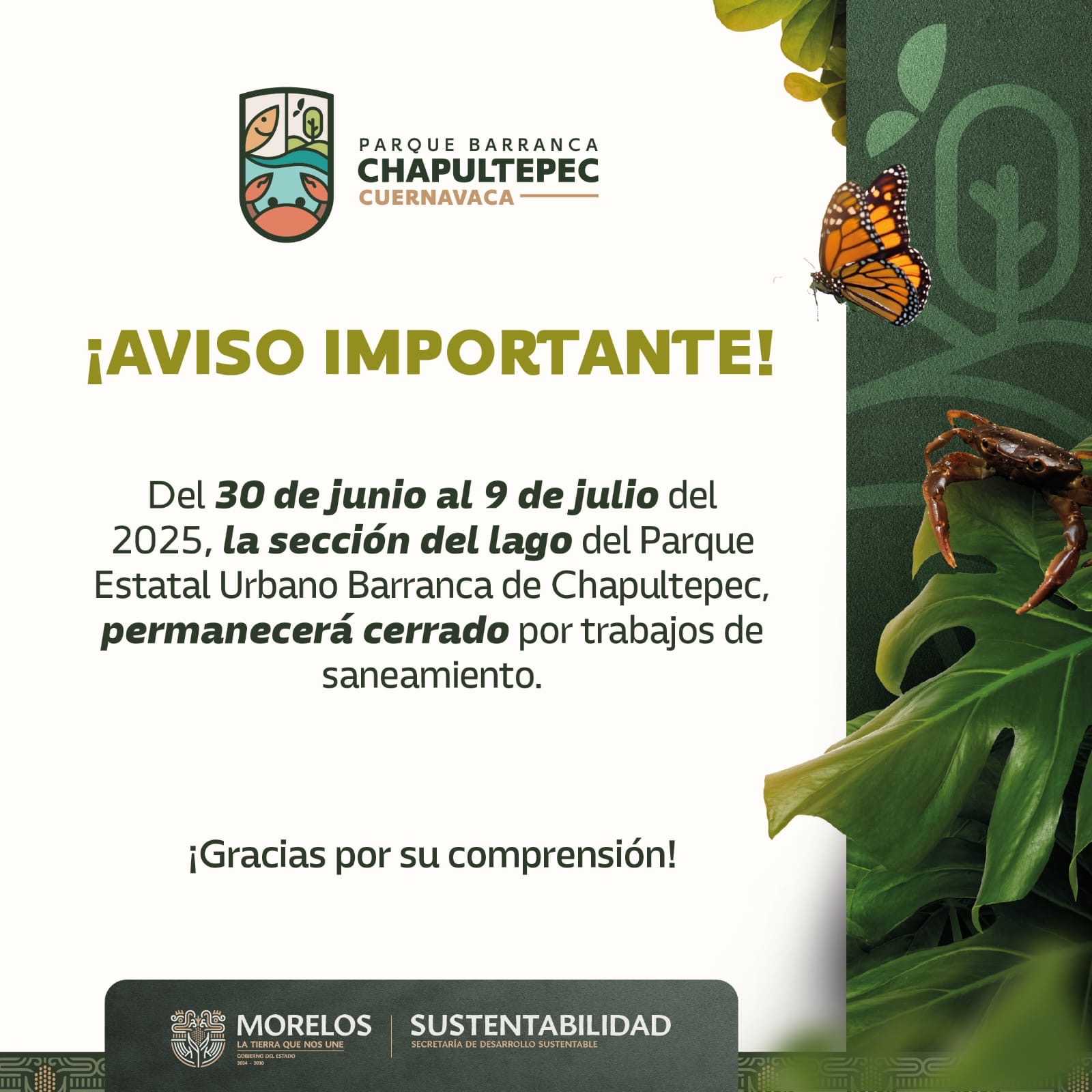 CERRADA POR SANEAMIENTO SECCIÓN DEL LAGO DEL PARQUE ESTATAL URBANO BARRANCA DE CHAPULTEPEC CERRADA POR SANEAMIENTO SECCIÓN DEL LAGO DEL PARQUE ESTATAL URBANO BARRANCA DE CHAPULTEPEC