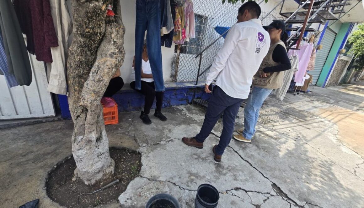 0e0a3c5a-c62c-4e56-abb2-bc77ae86b362