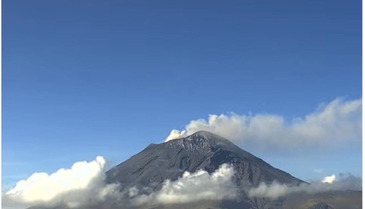 8f4127b4-b050-45ff-92fe-f2436e326fd2