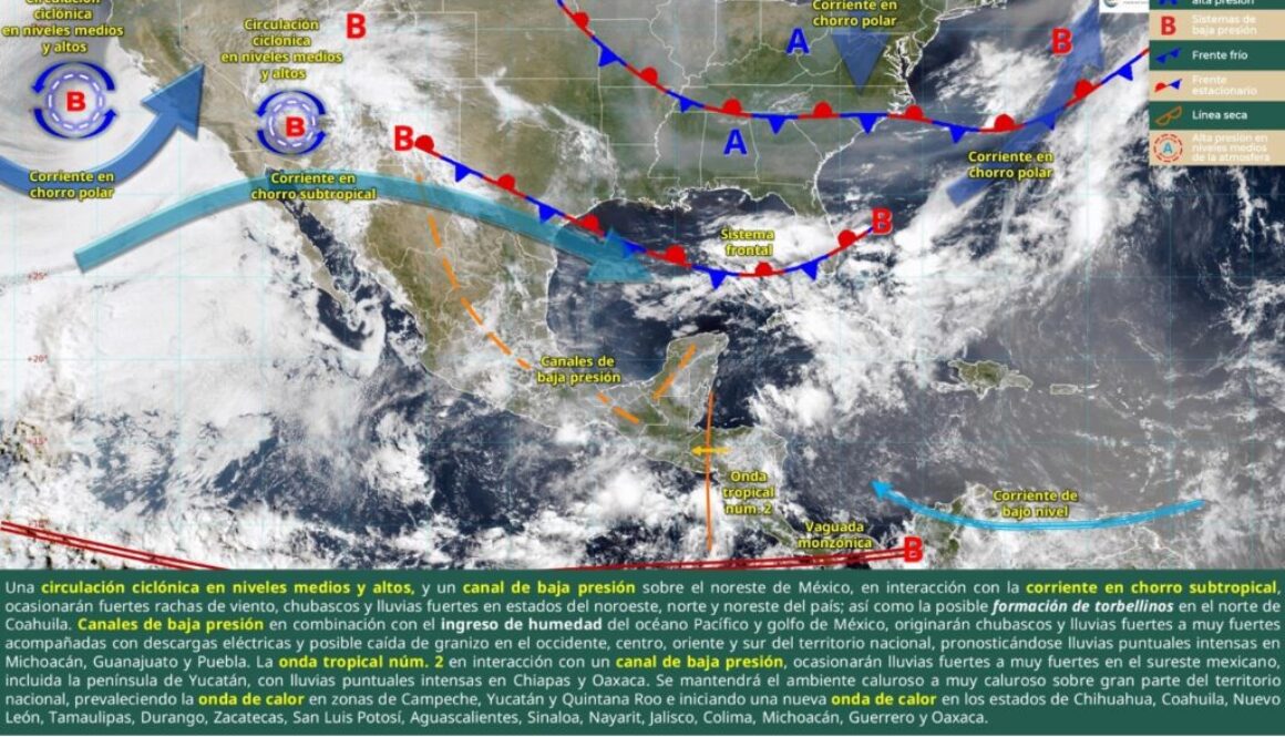 Imagen de WhatsApp 2025-06-02 a las 13.50.06_0f21dff3