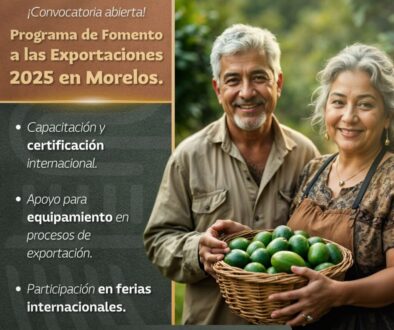 Imagen de WhatsApp 2025-06-04 a las 12.44.54_1231d7e7