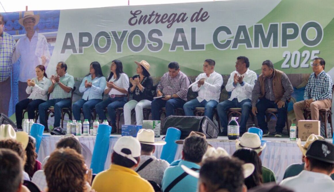 Imagen de WhatsApp 2025-06-05 a las 09.20.11_637e900d