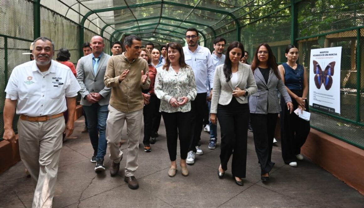 Imagen de WhatsApp 2025-06-05 a las 13.19.18_aa392f7e