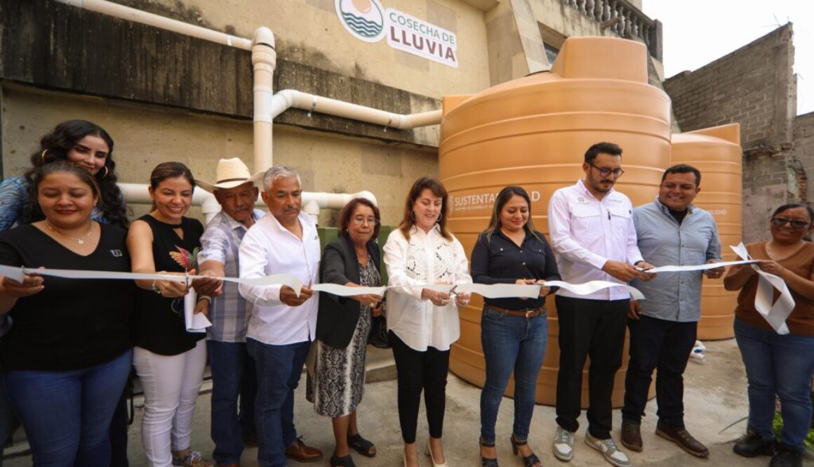 Imagen de WhatsApp 2025-06-05 a las 17.05.10_4310d33a