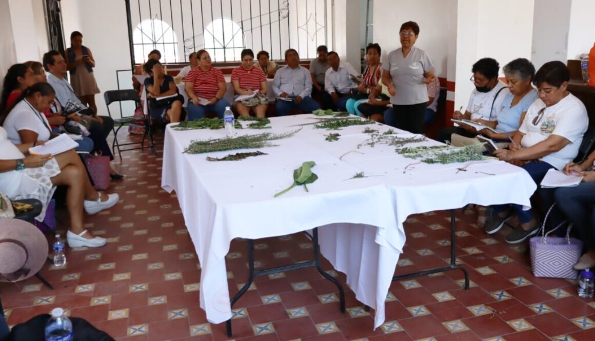 Imagen de WhatsApp 2025-06-10 a las 16.45.26_1ffec774