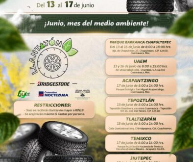 Imagen de WhatsApp 2025-06-11 a las 12.06.38_7bcad794