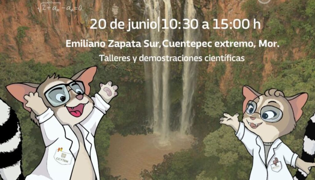 Imagen de WhatsApp 2025-06-11 a las 14.45.30_ac4a7359
