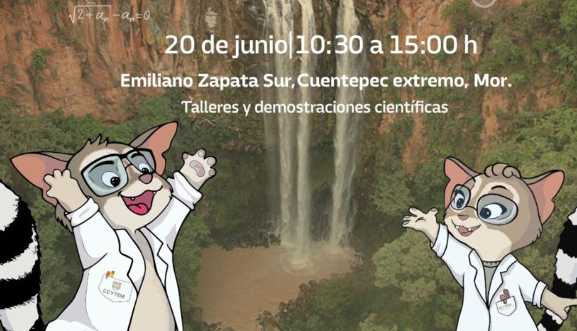 Imagen de WhatsApp 2025-06-11 a las 14.45.30_ac4a7359