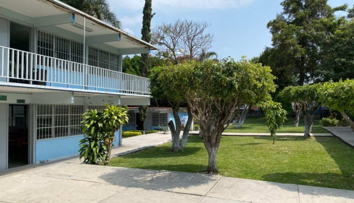 Imagen de WhatsApp 2025-06-12 a las 17.20.19_07830ac0