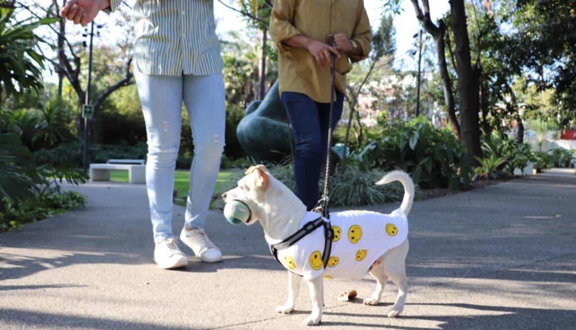 Imagen de WhatsApp 2025-06-13 a las 13.30.27_9f15d0da