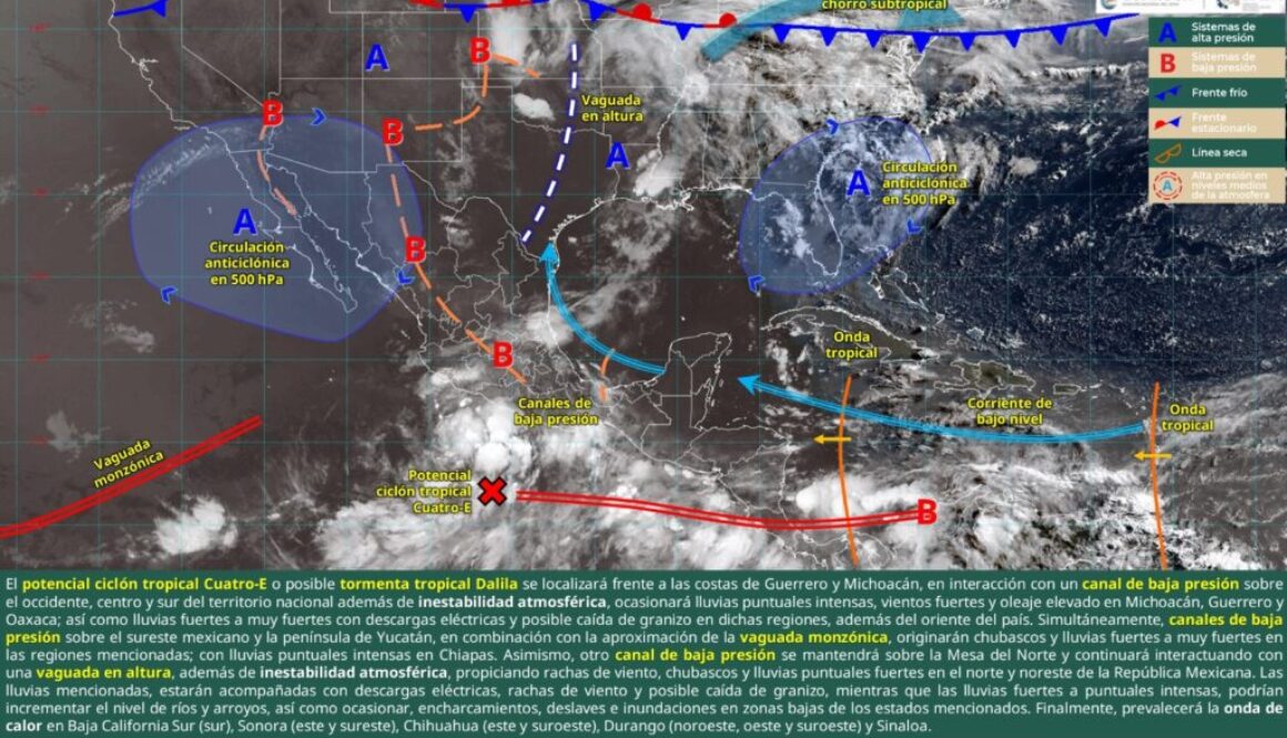 Imagen de WhatsApp 2025-06-13 a las 13.40.08_e2acaec4