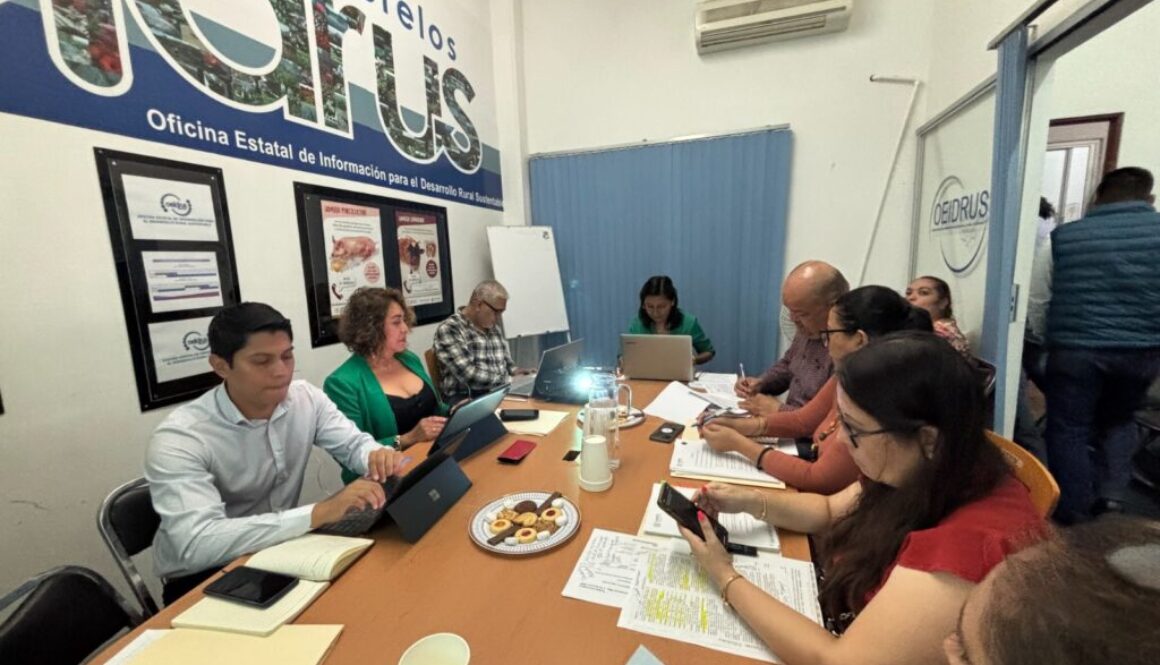 Imagen de WhatsApp 2025-06-14 a las 14.31.55_f9b6ea81