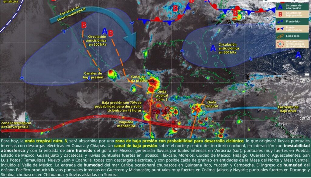 Imagen de WhatsApp 2025-06-16 a las 12.05.07_ab4c11ae